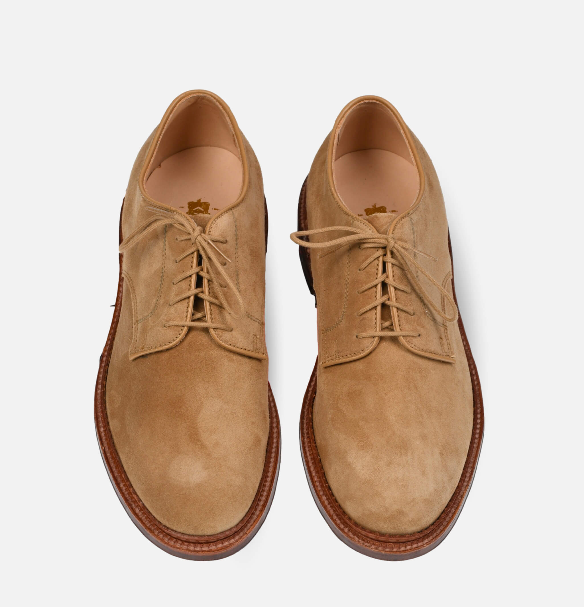 Alden Shoe Co | 29332F Flex Welt Blucher | Royalcheese Paris