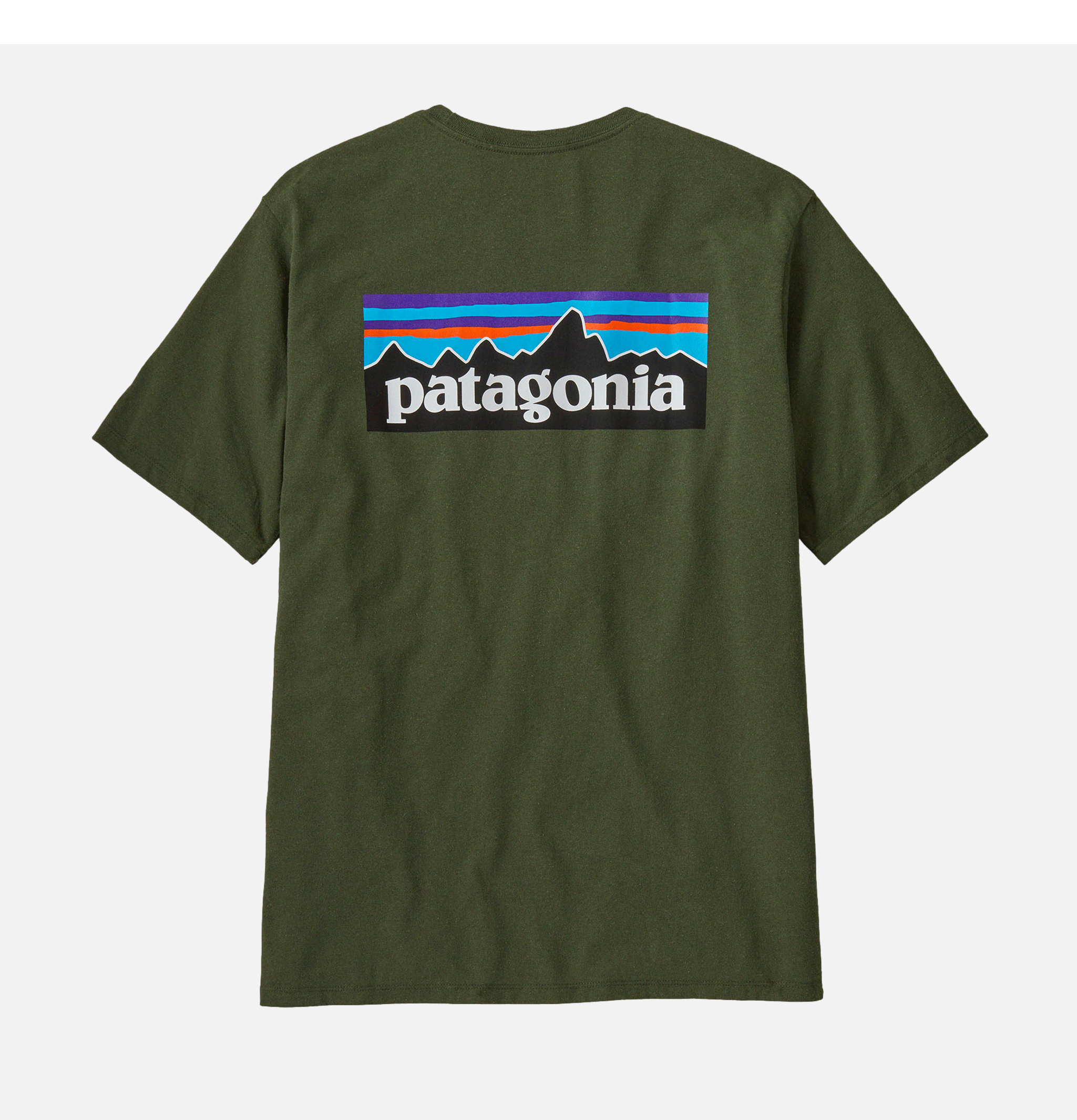 Patagonia T-shirts P6 Logo Torrey Vert Pin