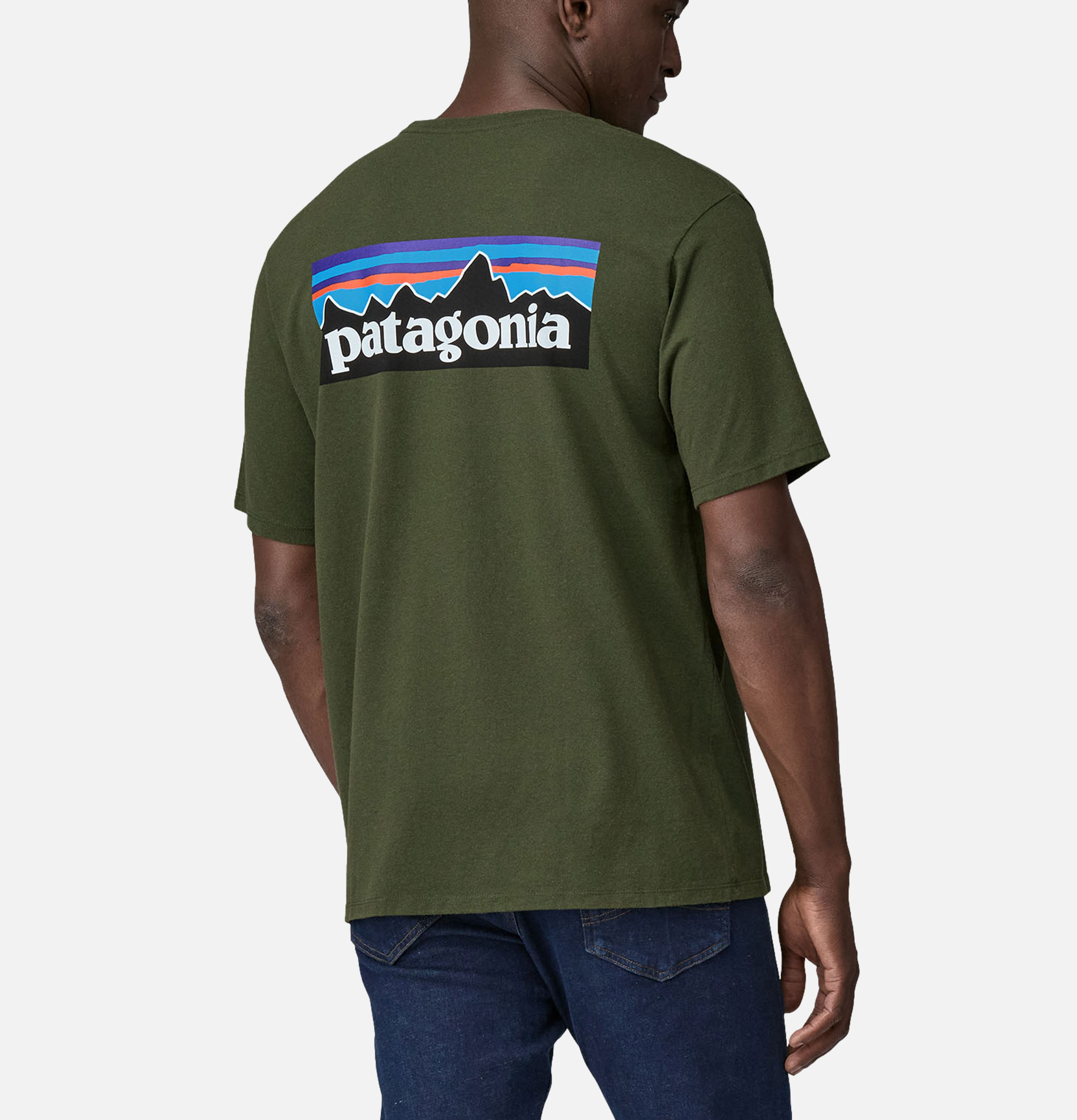 Patagonia T-shirts P6 Logo Torrey Vert Pin