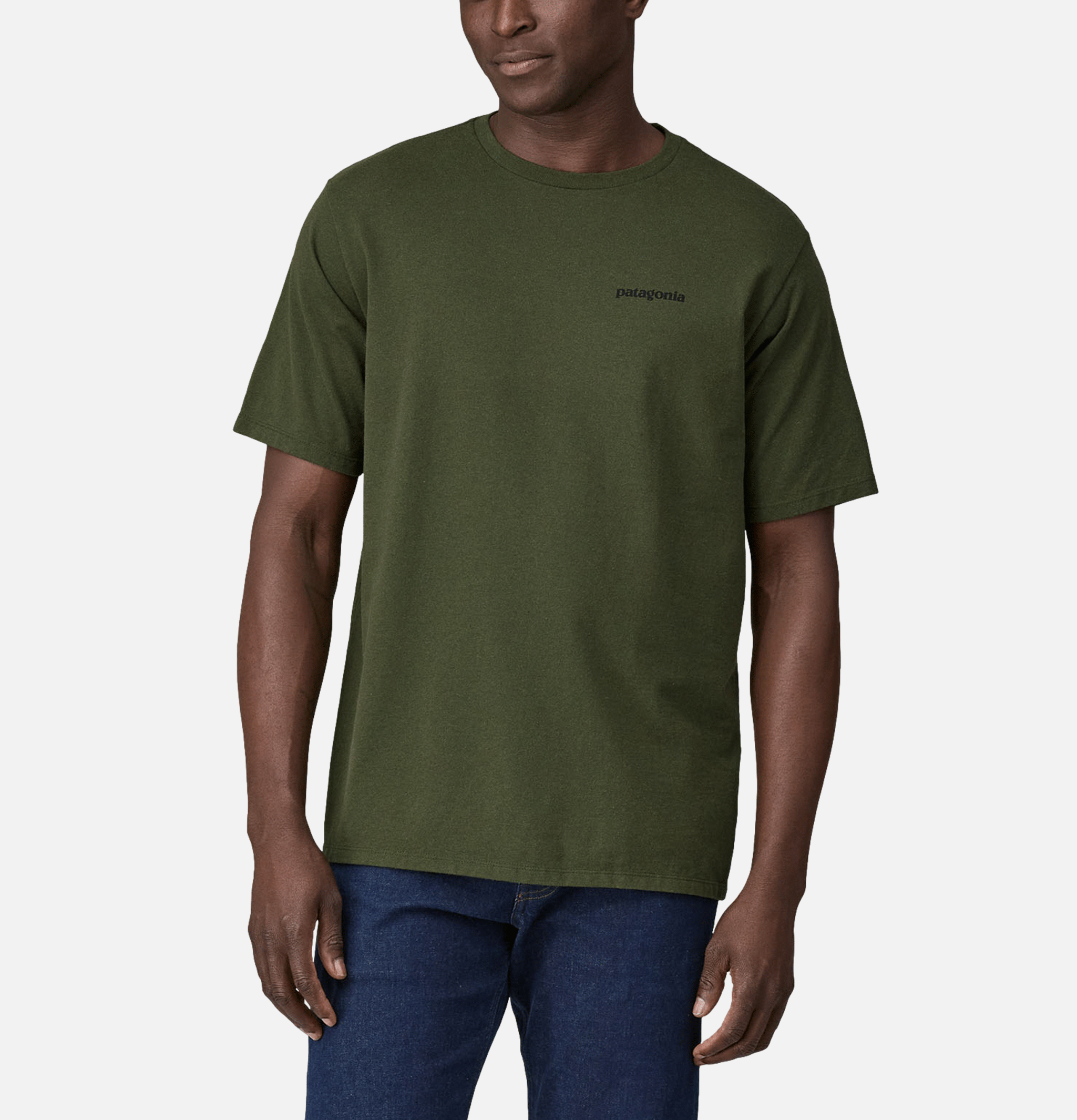 Patagonia T-shirts P6 Logo Torrey Vert Pin
