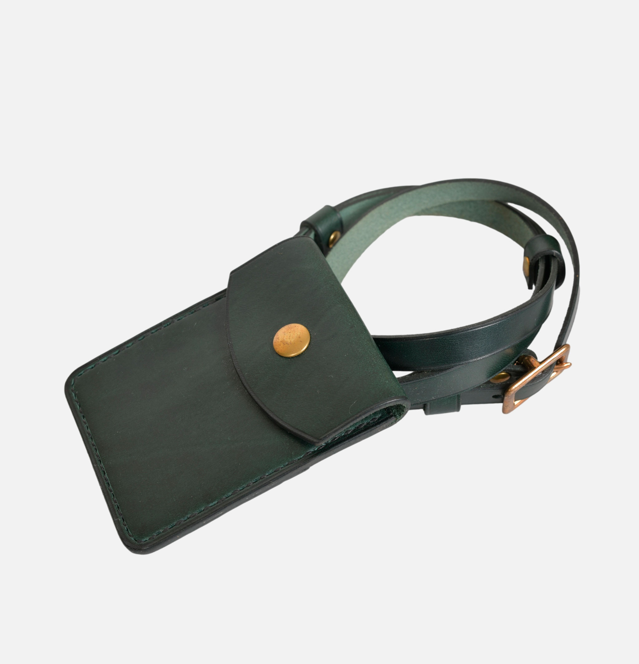 L'anguille Pochette Cartes Vert