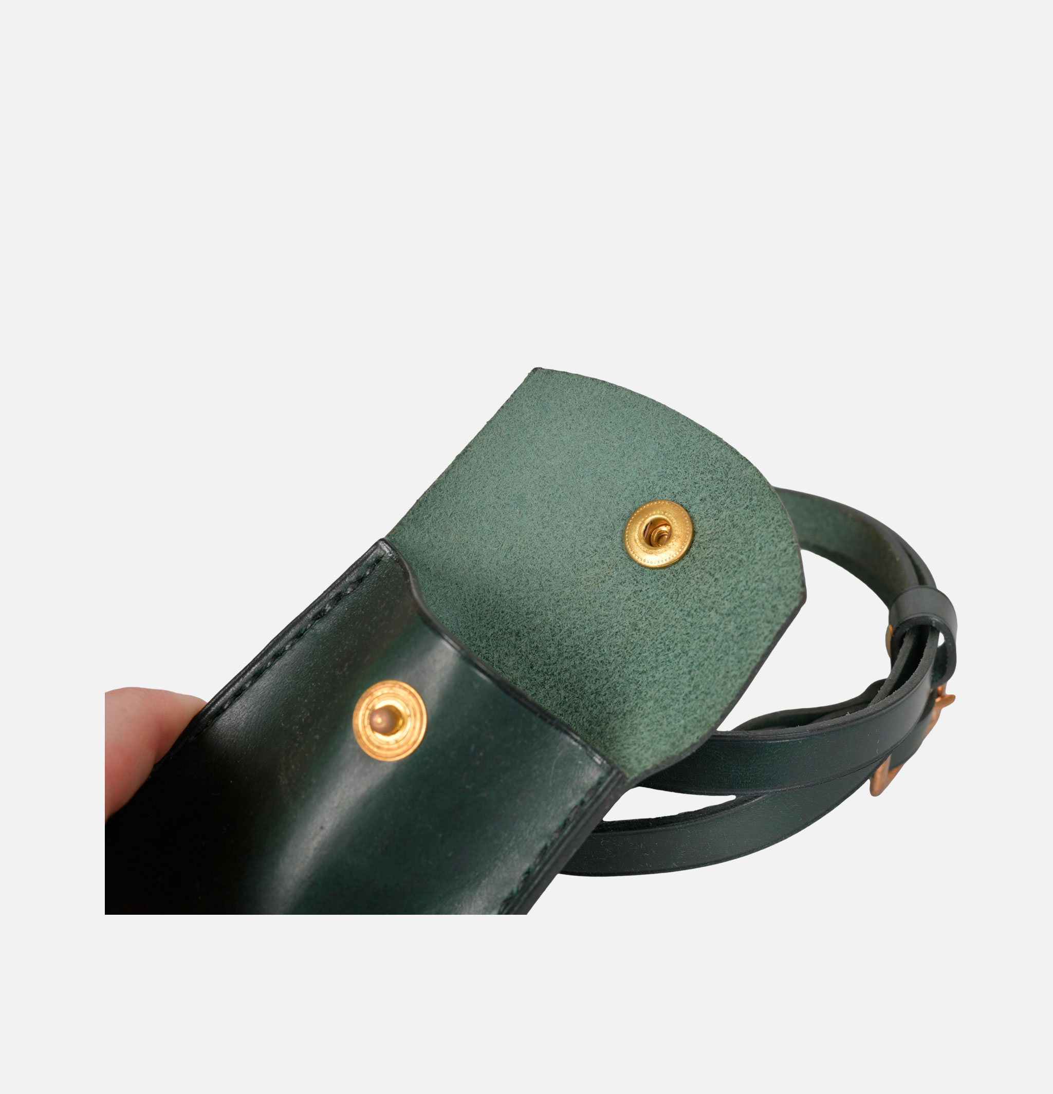 L'anguille Pochette Cartes Vert