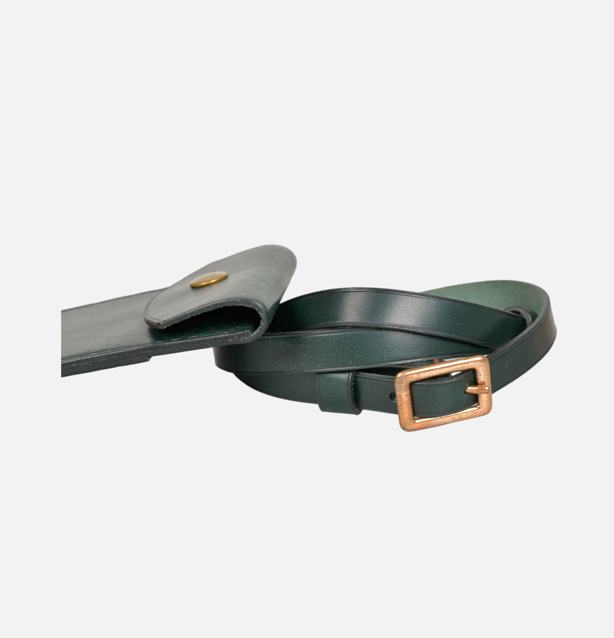 L'anguille Pochette Cartes Vert