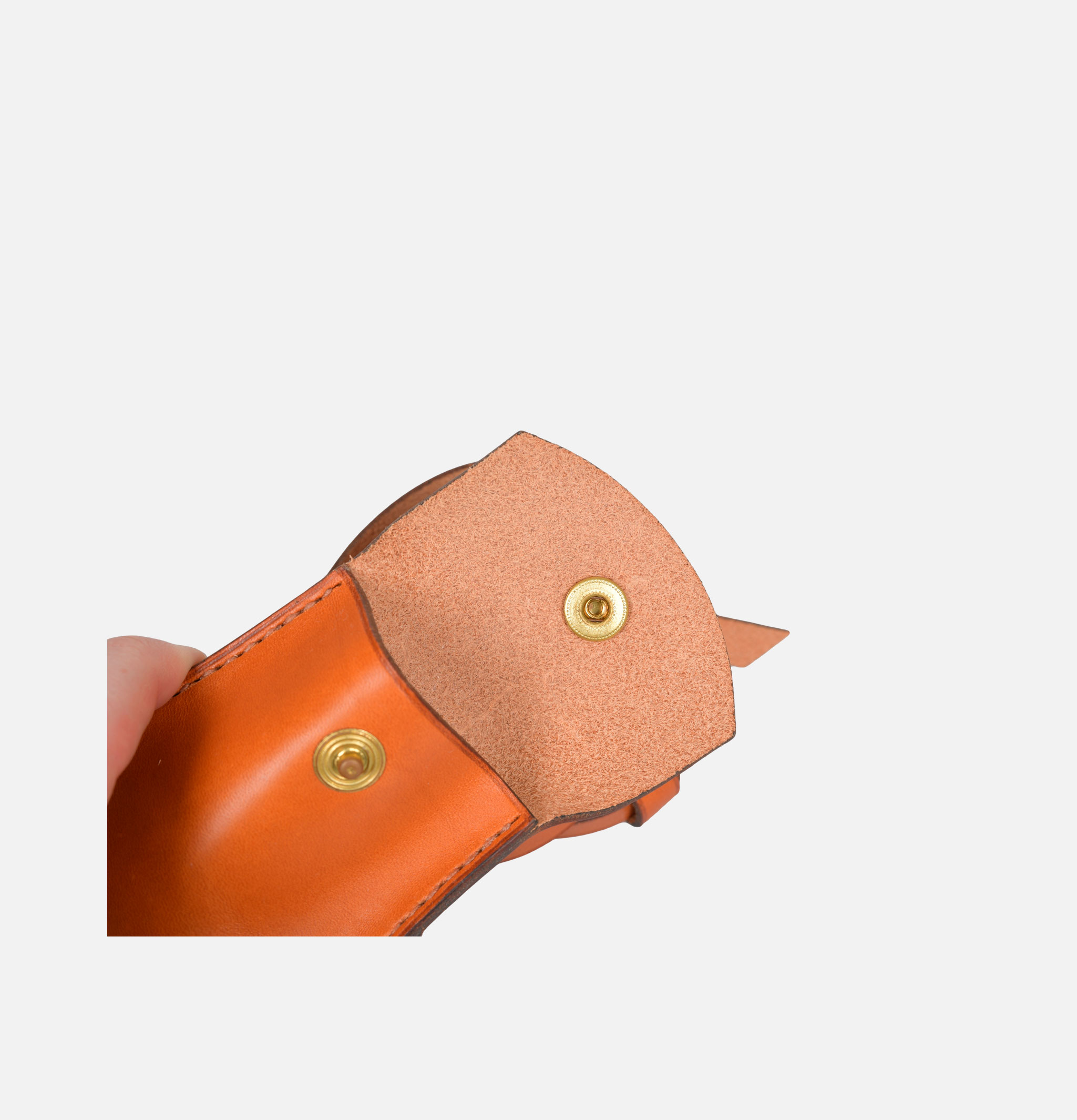 L'anguille Pochette Cartes Miel