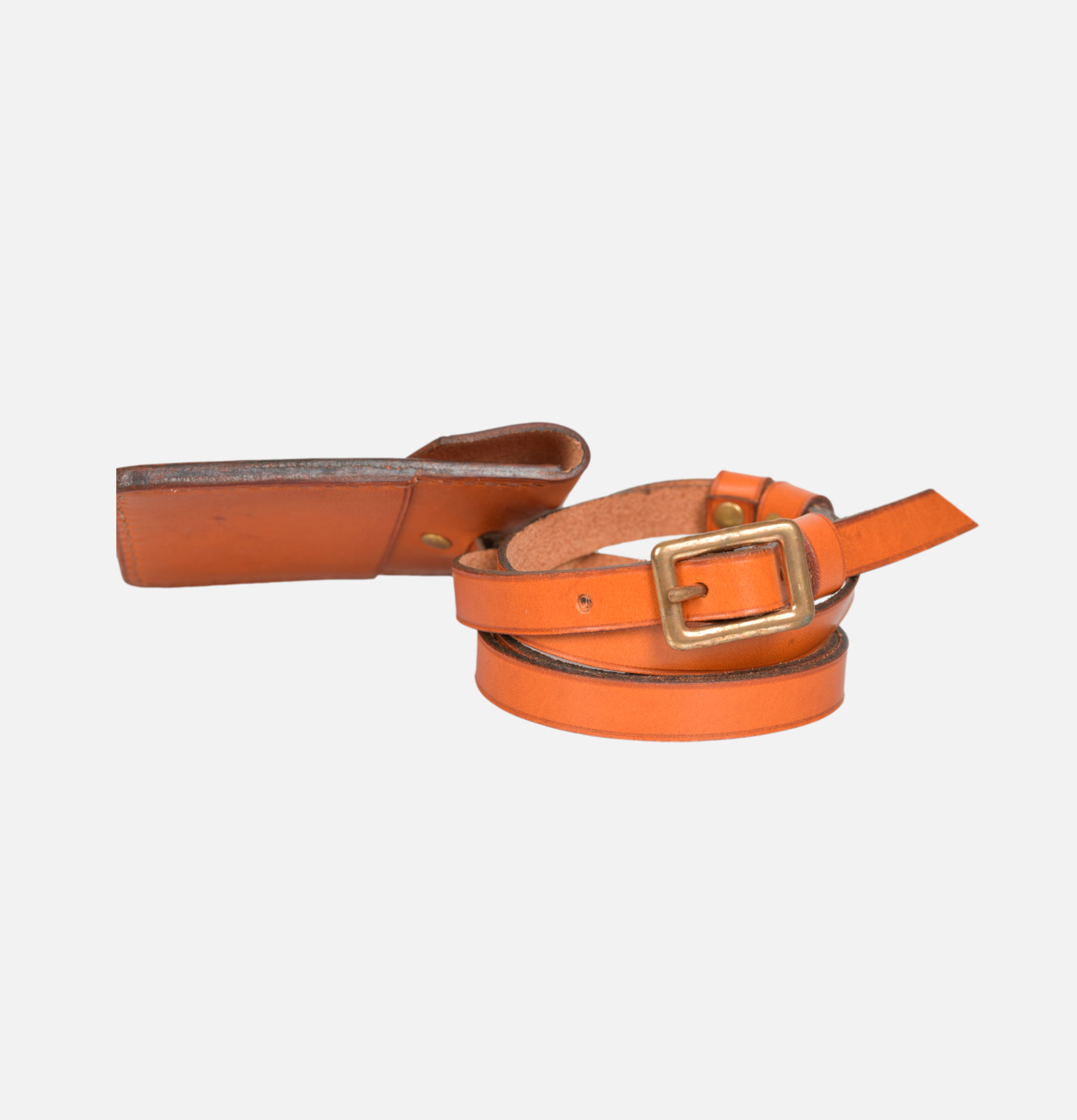 L'anguille Pochette Cartes Miel