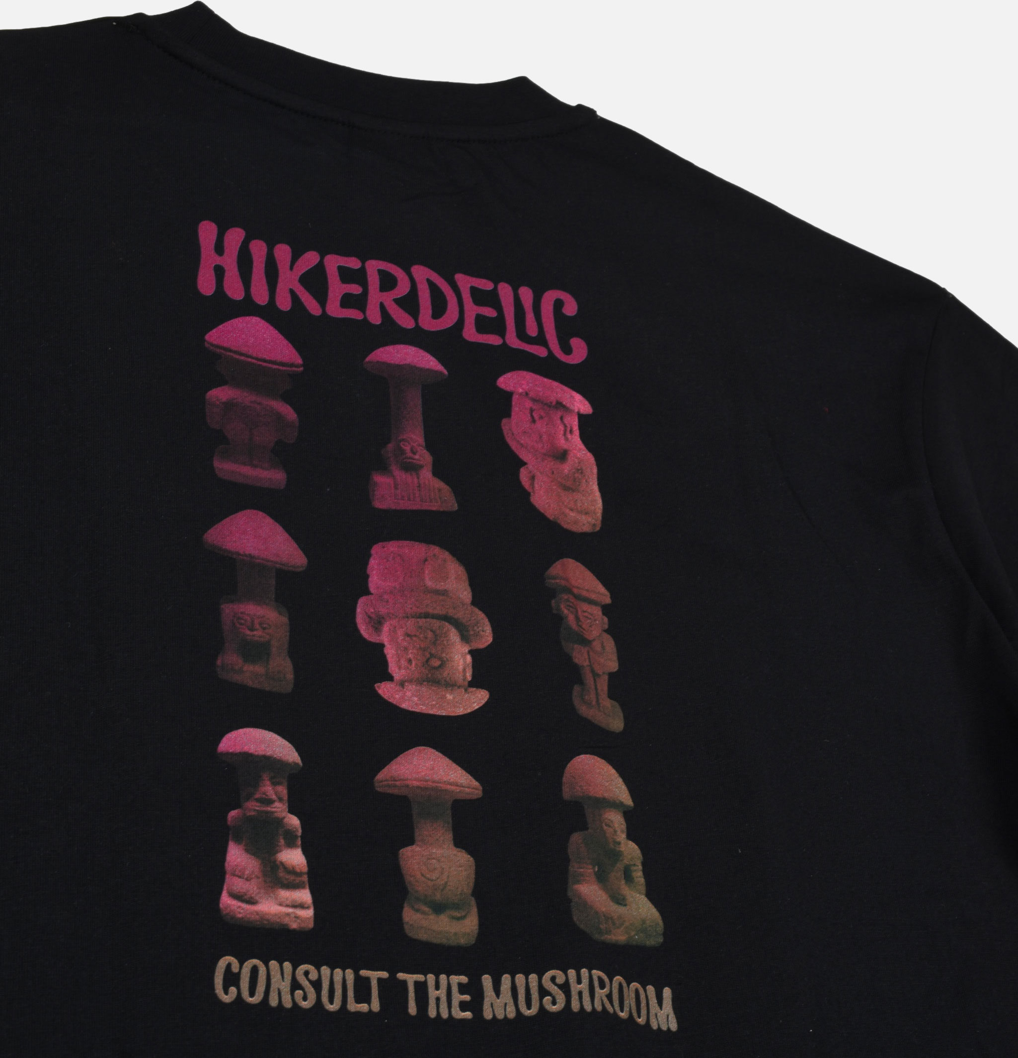 Hikerdelic T-shirt Consult The Mushroom Noir