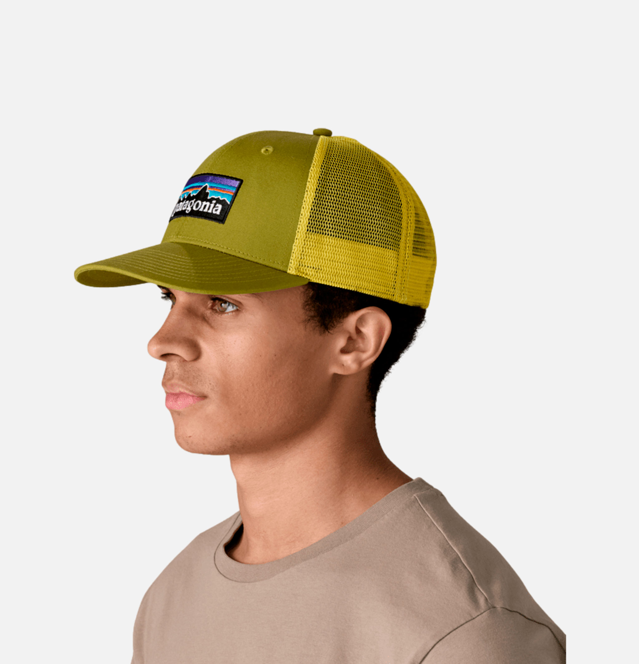 Patagonia P6 Logo Trucker Cap Graze Green
