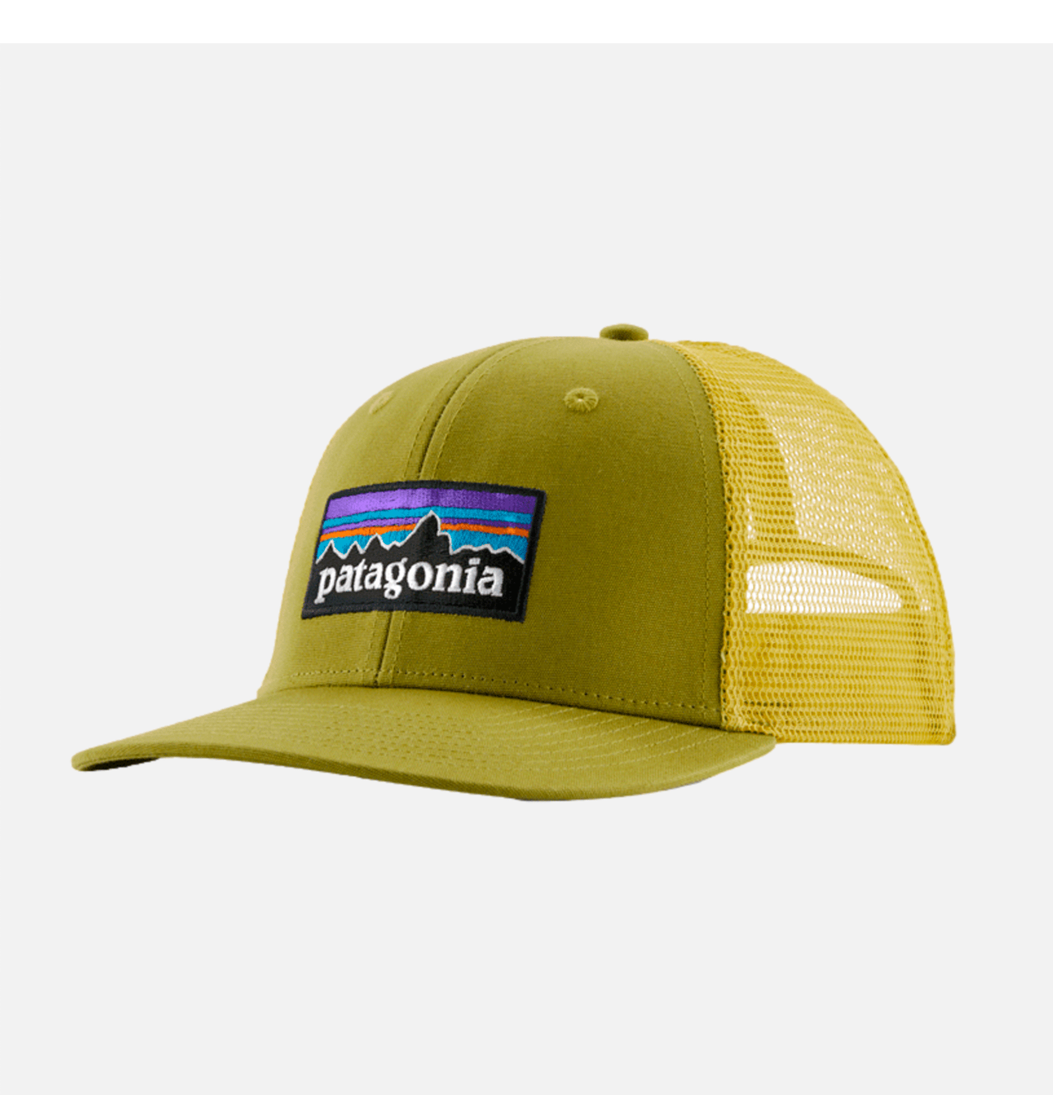 Patagonia P6 Logo Trucker Cap Graze Green