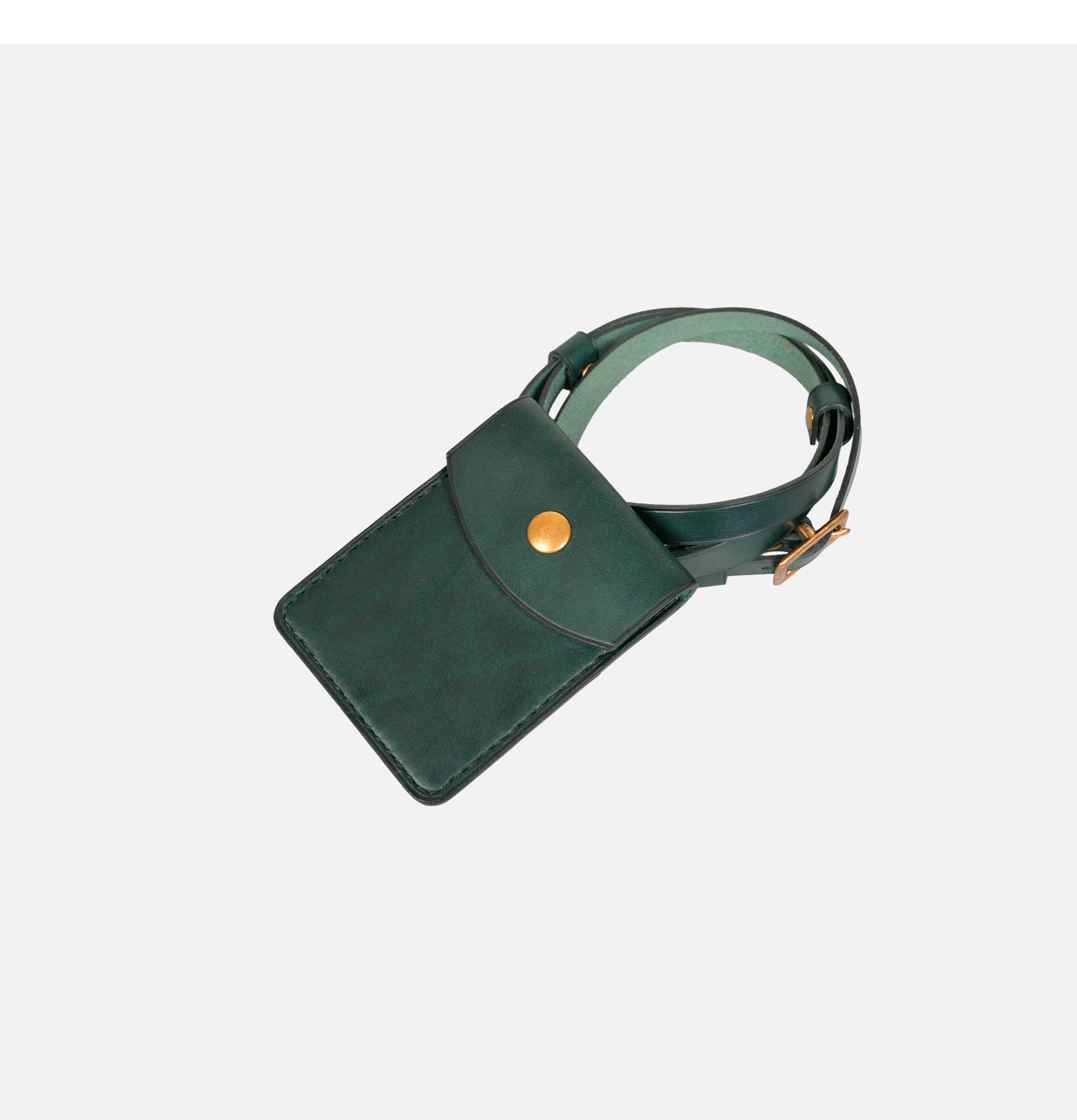 L'anguille Pochette Cartes Vert