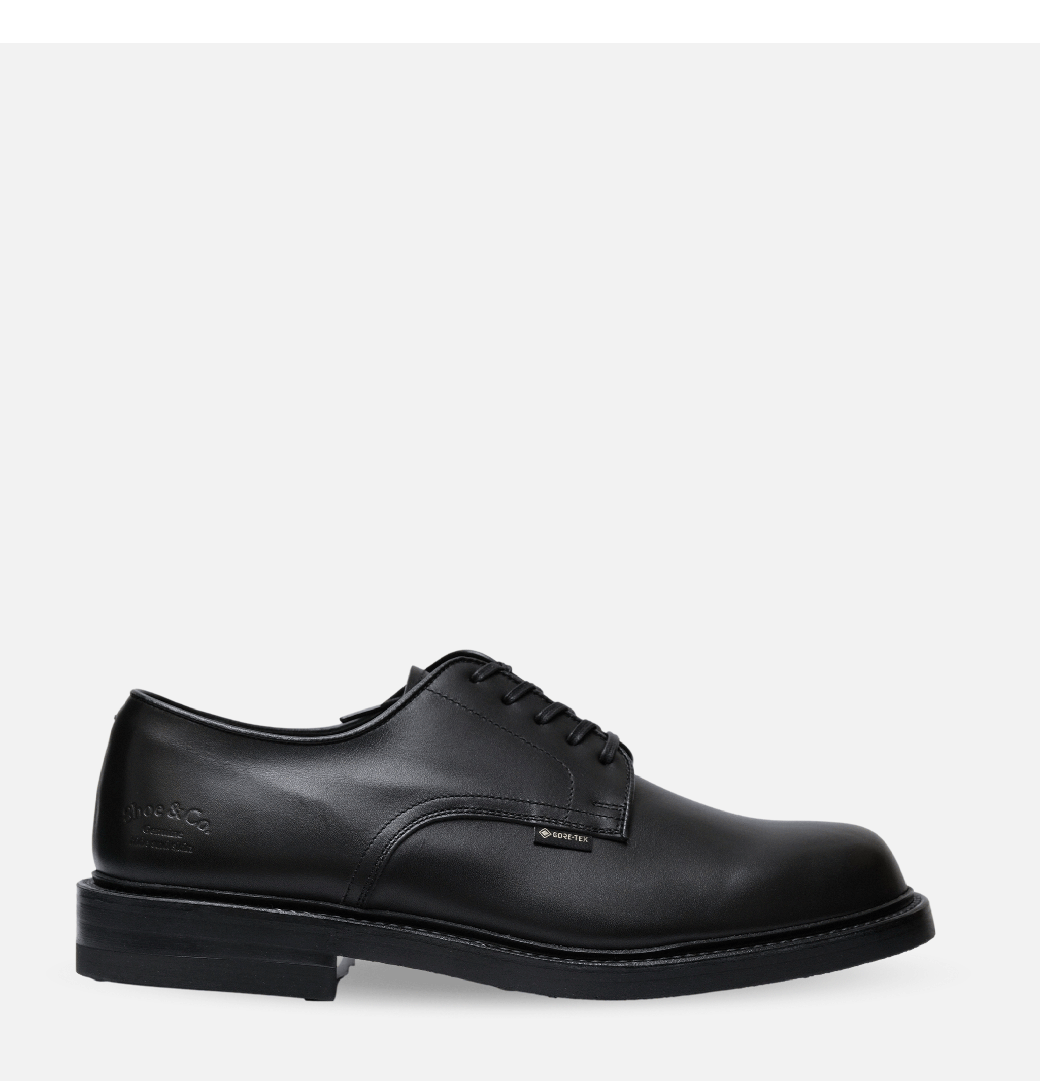 Regal Shoe & Co Chaussures Plain-toe Gortex Noir