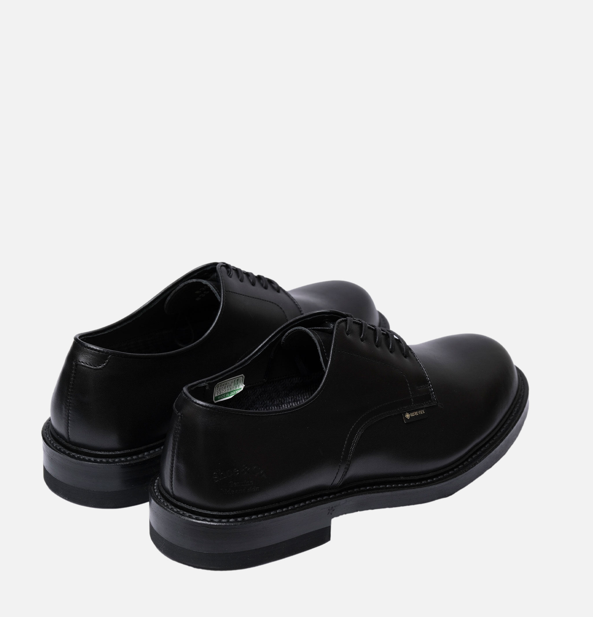 Regal Shoe & Co Chaussures Plain-toe Gortex Noir