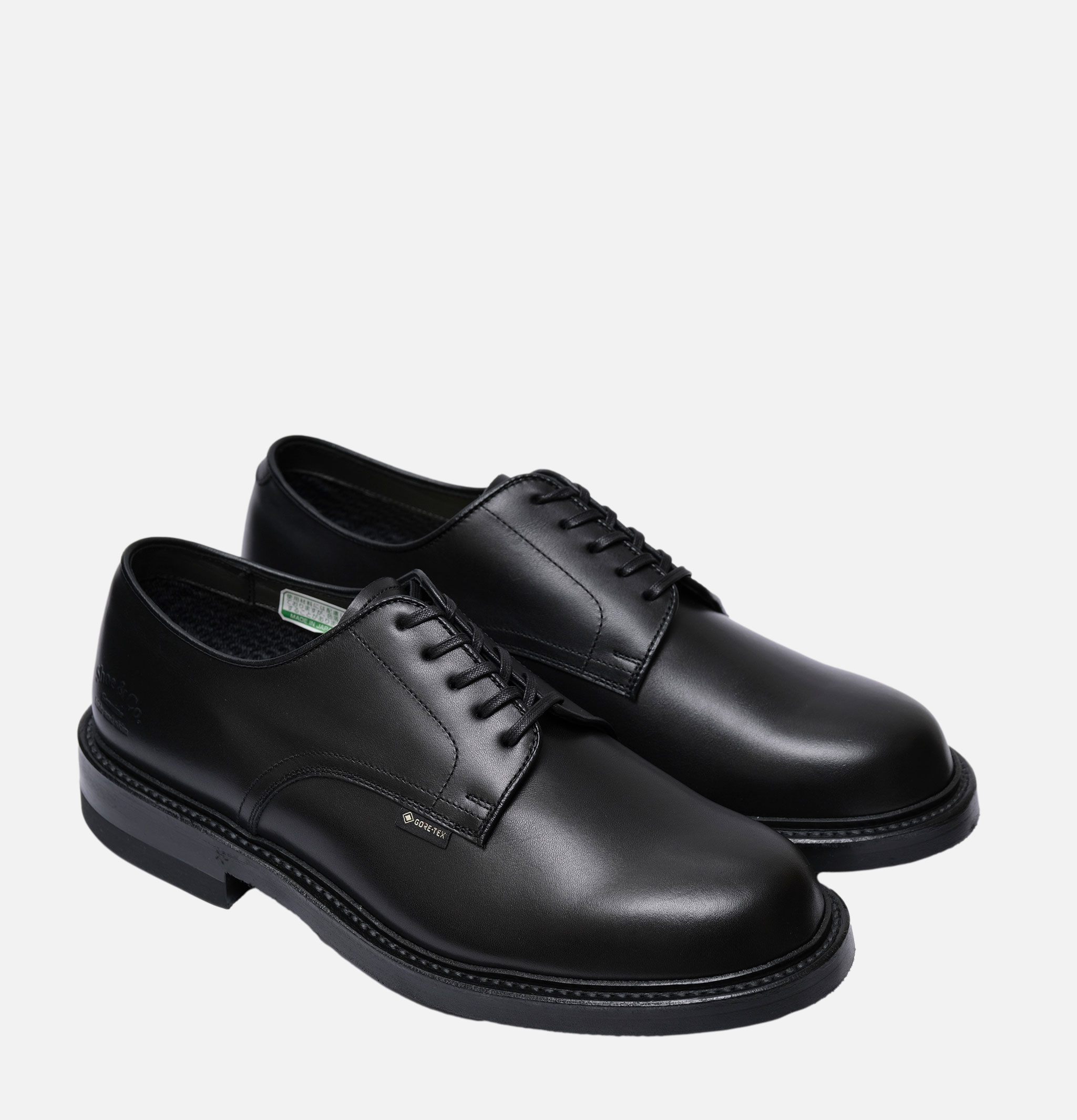 Regal Shoe & Co Chaussures Plain-toe Gortex Noir