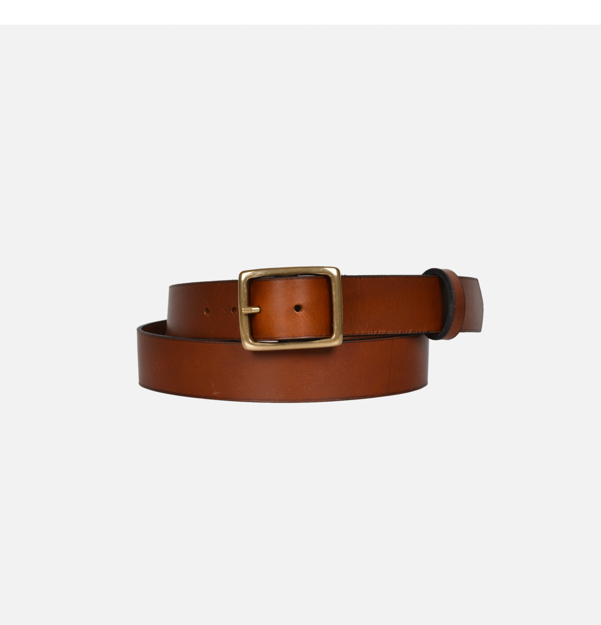 L'anguille Ceinture Phineas Cappuccino