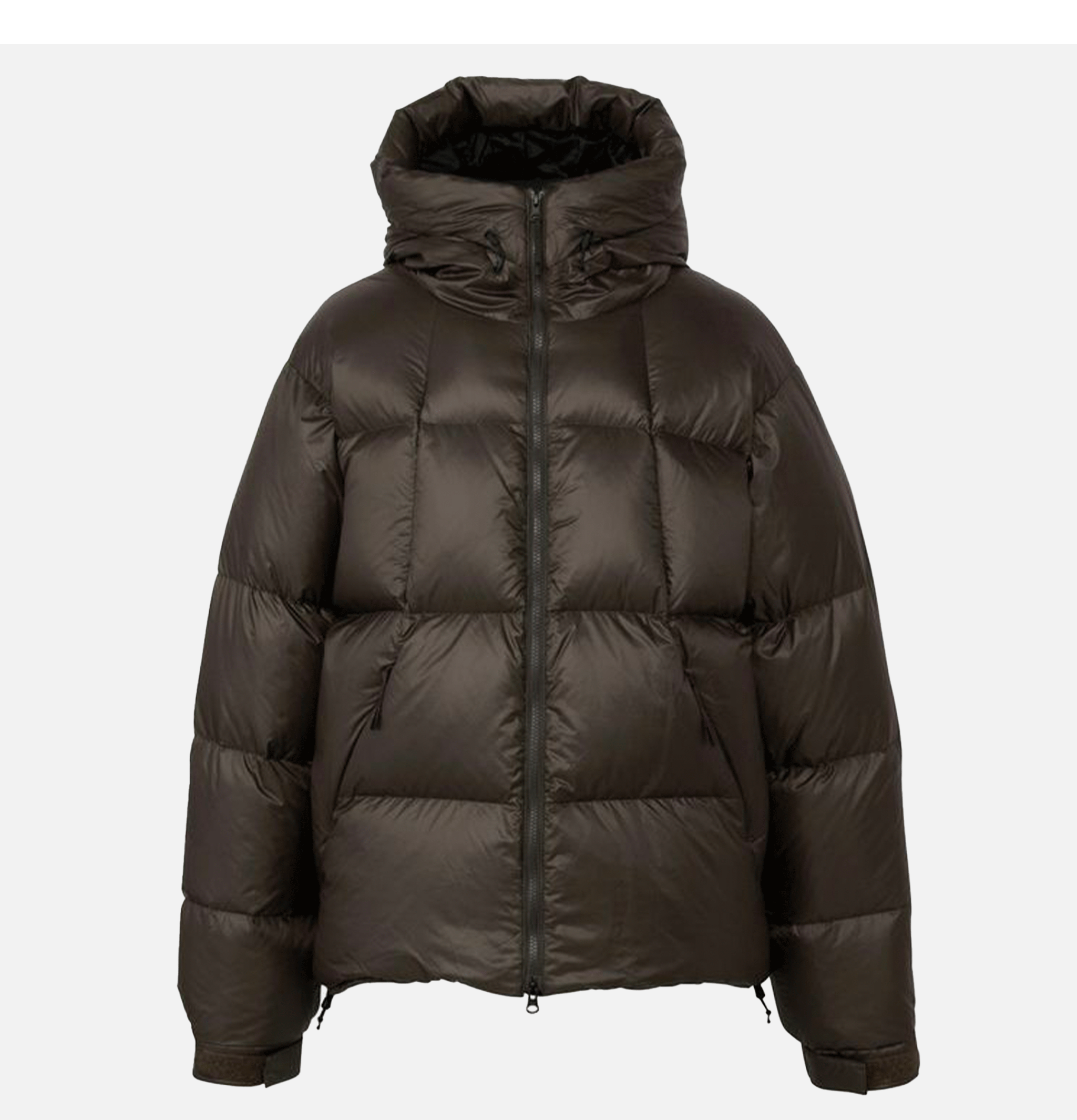 Goldwin | Pertex Quantum Down Parka Dw | Royalcheese Paris