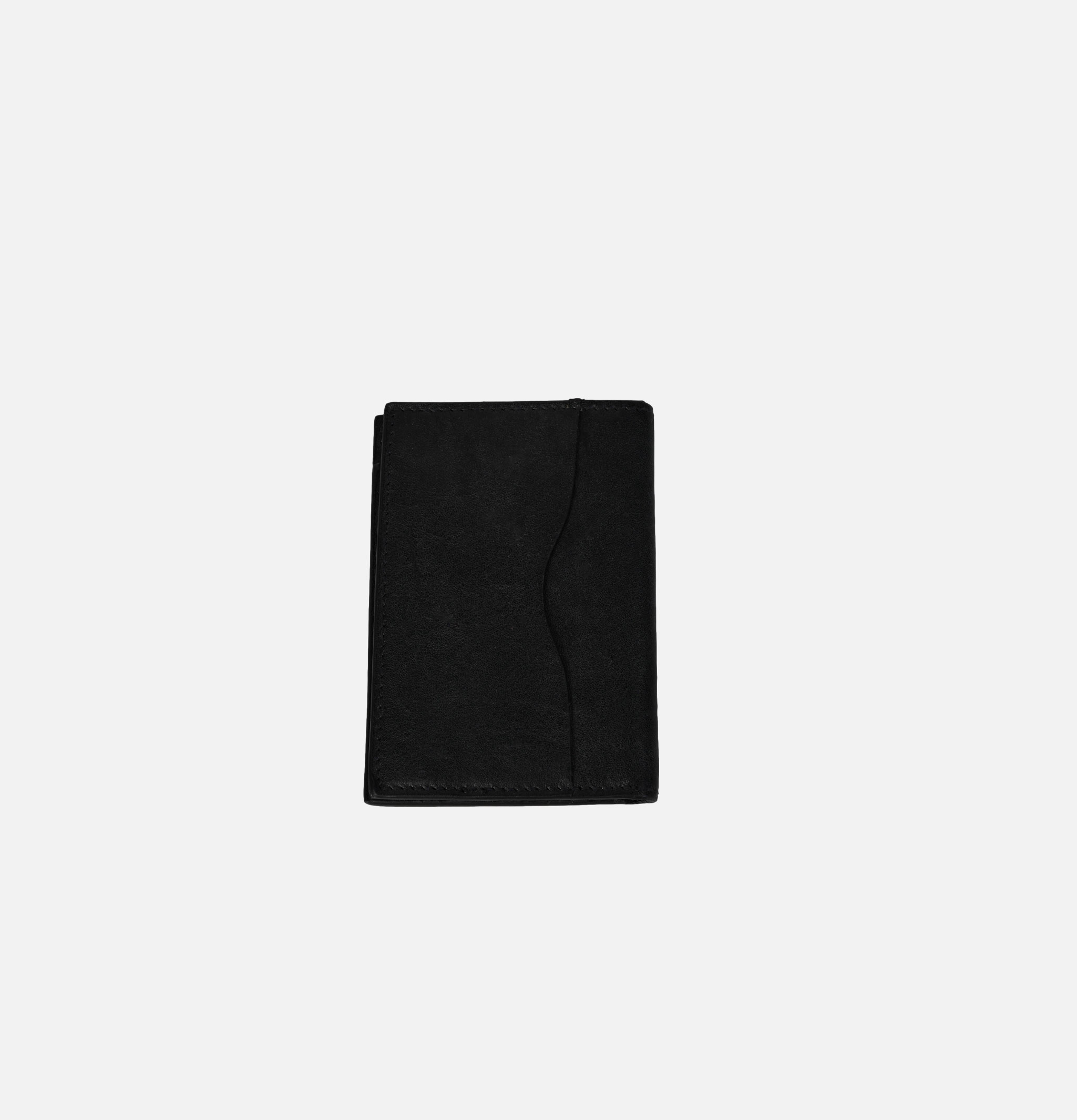 Passport Case Classic