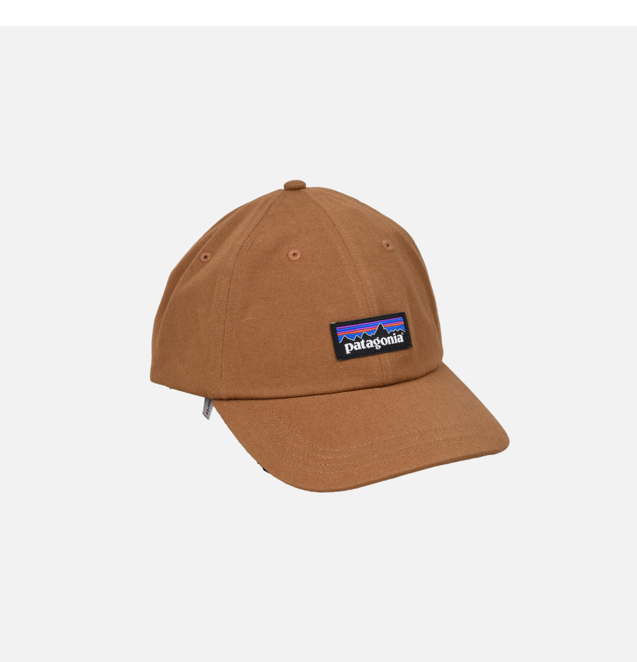 Patagonia Casquette P-6 Label Trad Drbn