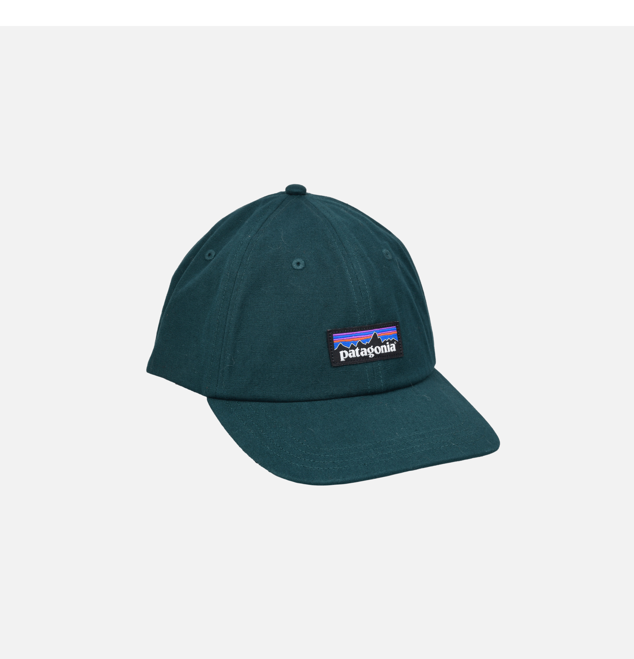 Patagonia Casquette P-6 Label Trad Casg