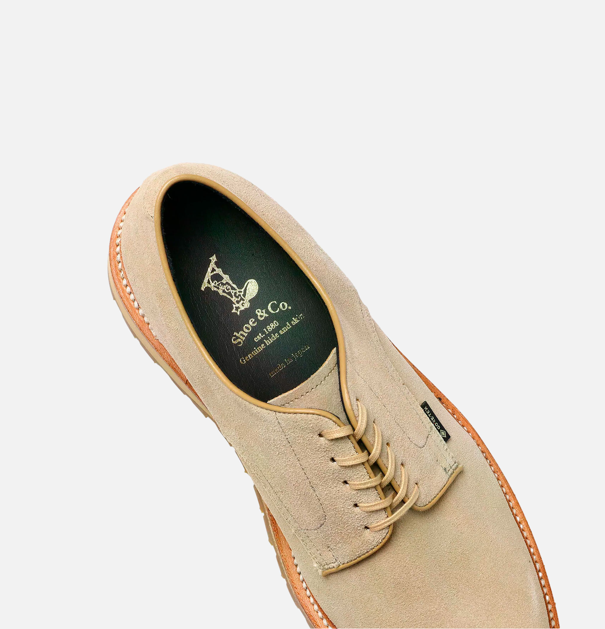 Regal Shoe & Co Chaussures Plaintoe Gortex Suede Sand
