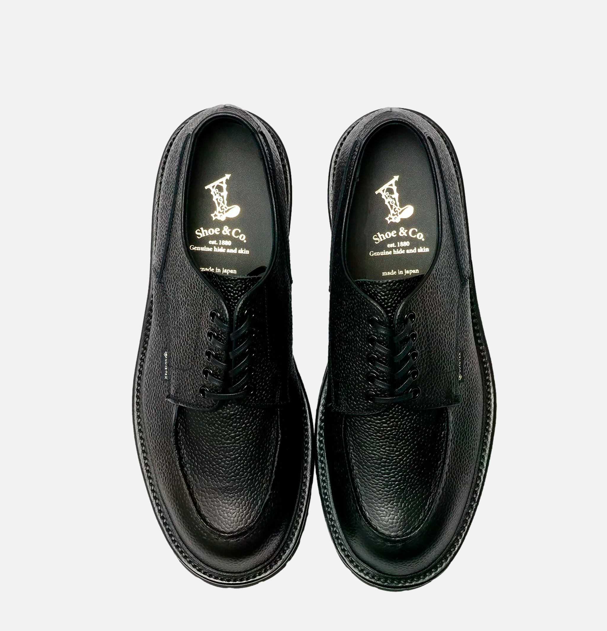 Regal Shoe & Co U Tip Gore Tex Embossed Black