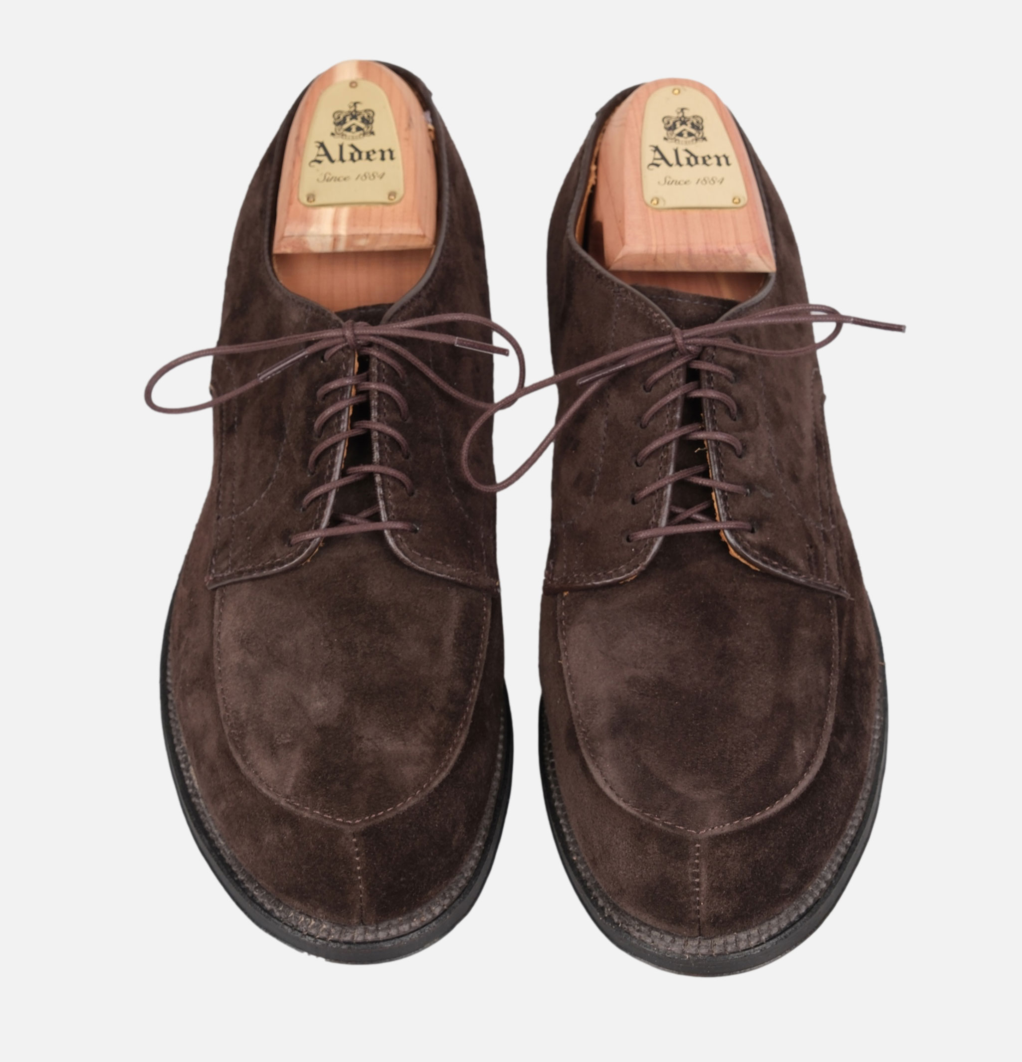 Alden Shoe & Co 54358 Military Dark Chocolate
